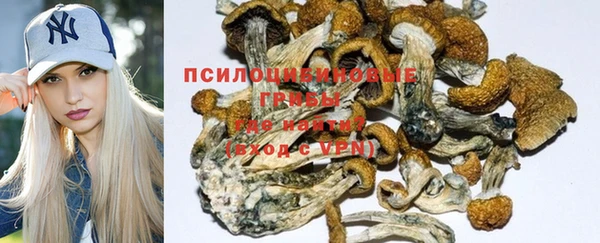 тгк Абаза